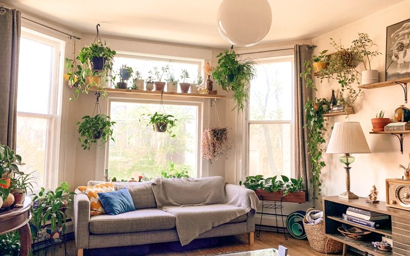 A bright, plant-filled living room.